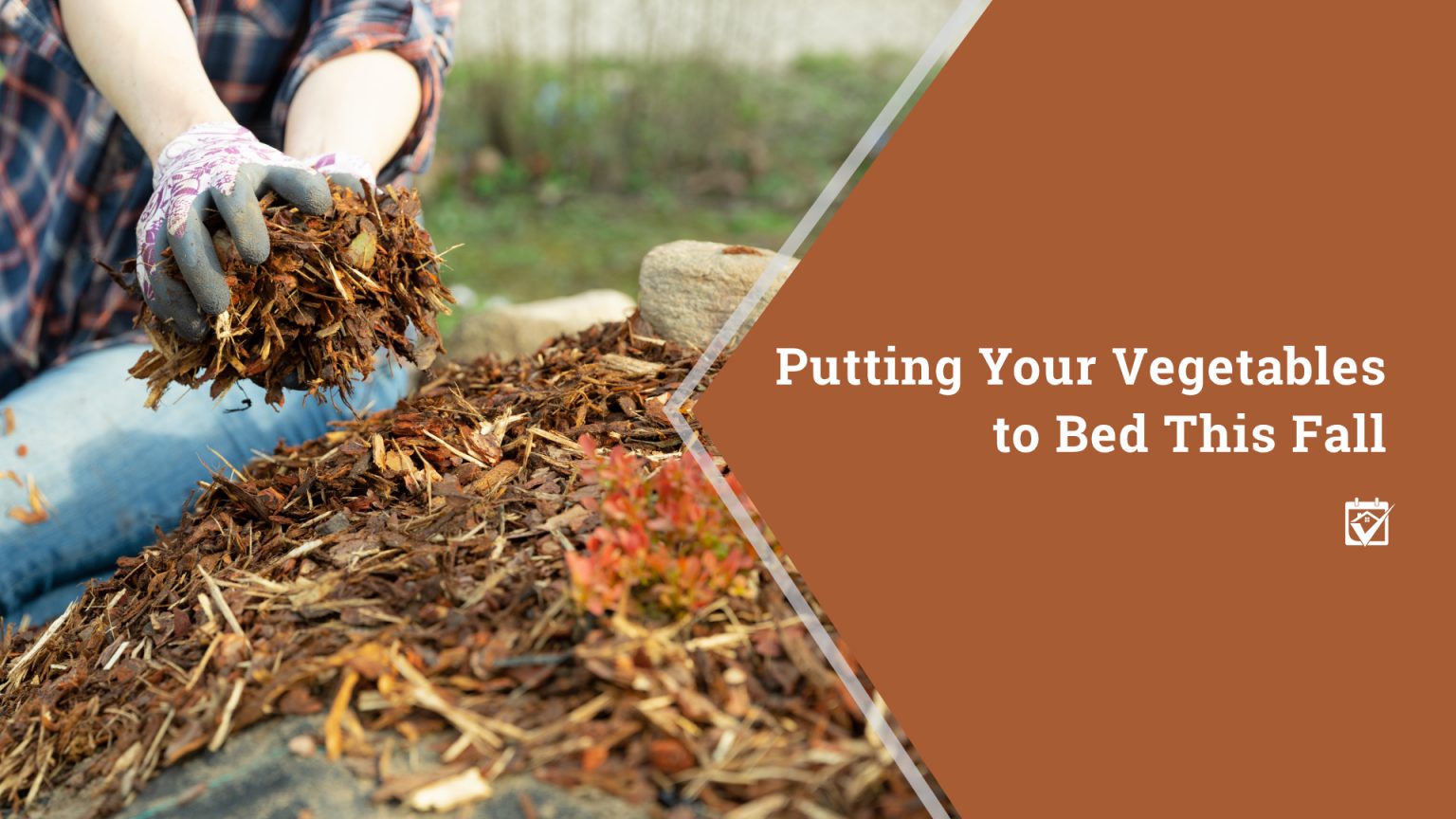 Vegetables to bed for fall banner