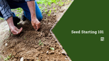 Seed Starting 101 Banner